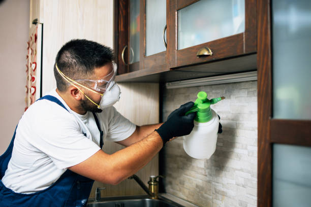 Best Bed Bug Extermination  in Sardinia, OH