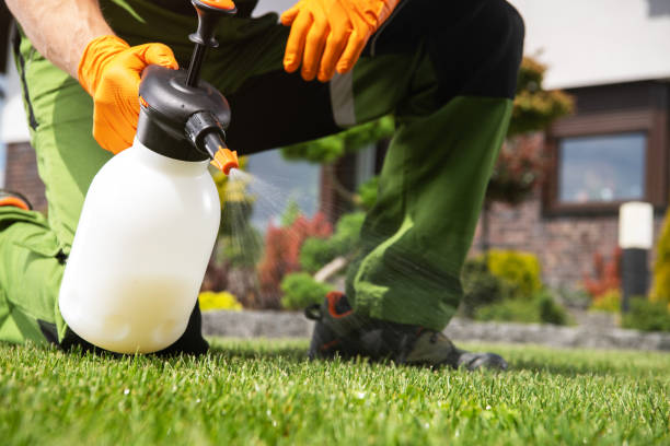 Best Residential Pest Control  in Sardinia, OH