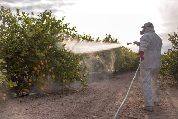 Best Commercial Pest Control Services  in Sardinia, OH