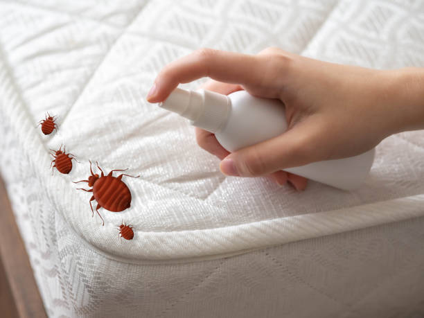 Pest Prevention Services in Sardinia, OH