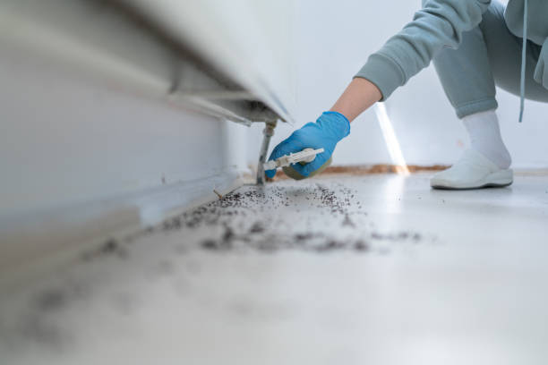 Best Best Pest Control Companies  in Sardinia, OH